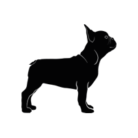 Francouzský buldoček