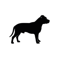 Stafordšírský bulteriér